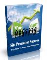 Site Promotion Success - Top Tips To Your Site Promotion
